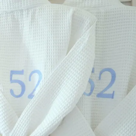 住宿加早餐酒店 52 埃梅